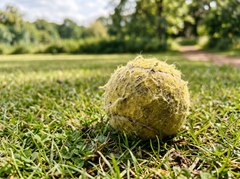 Tennisbold
